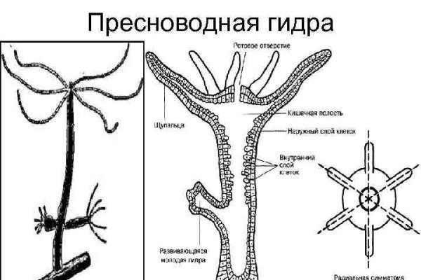 Кракен сайт официальный kraken014 com