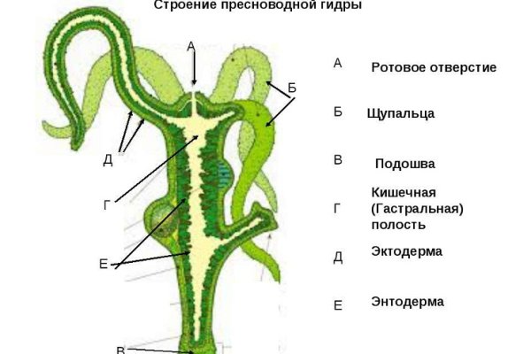 Kraken площадка