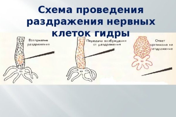 Кракен даркнет скачать